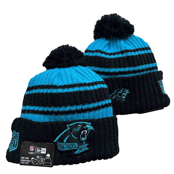 Carolina Panthers knit Hats 030